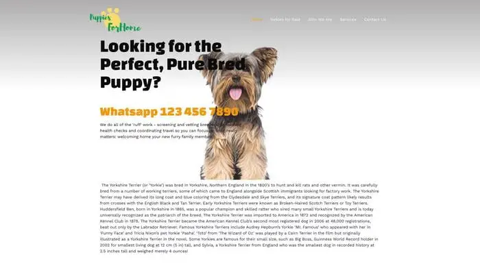 Screenshot of