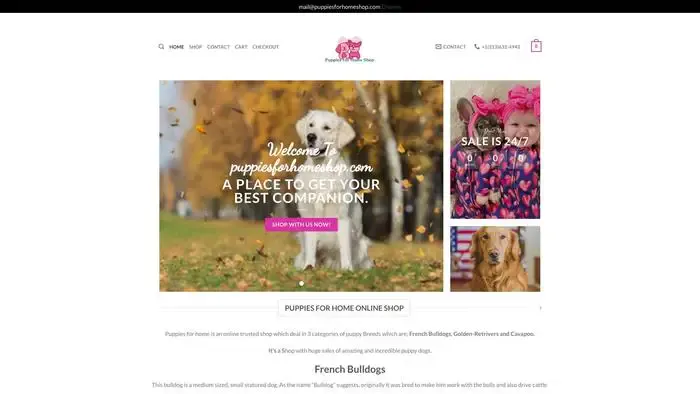 Screenshot of