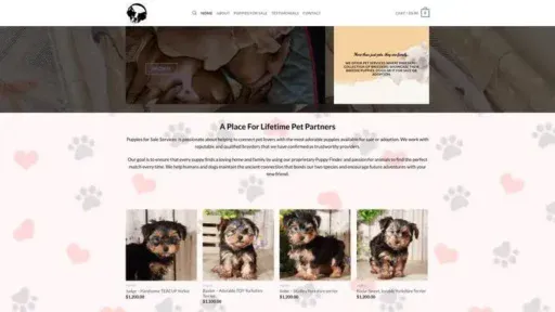 Screenshot of