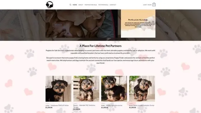 Screenshot of