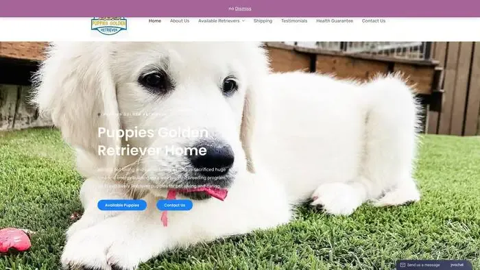Screenshot of