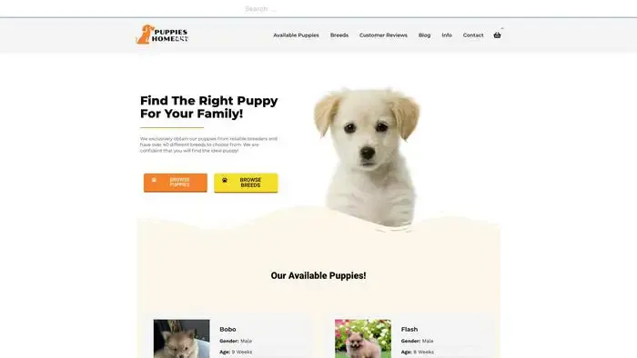 Screenshot of