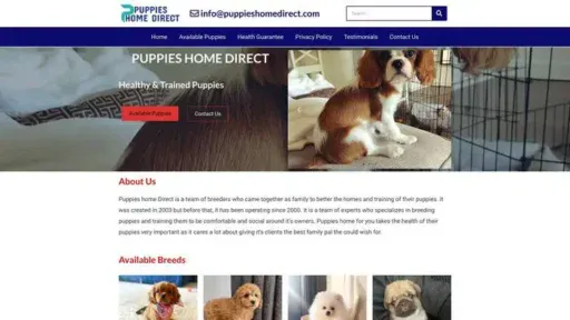 Screenshot of