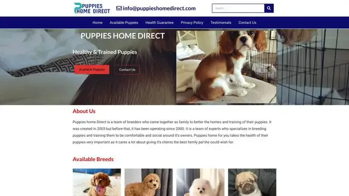 Screenshot of