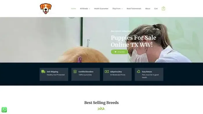 Screenshot of