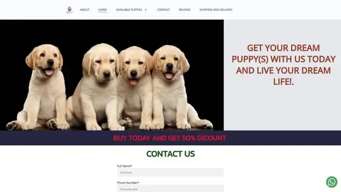 Screenshot of