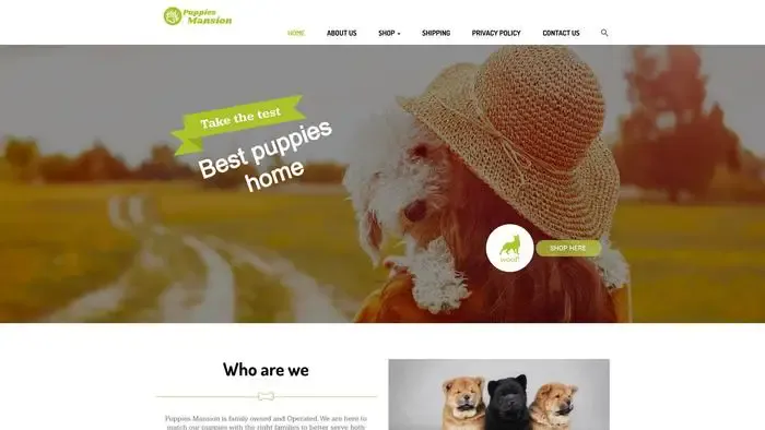 Screenshot of