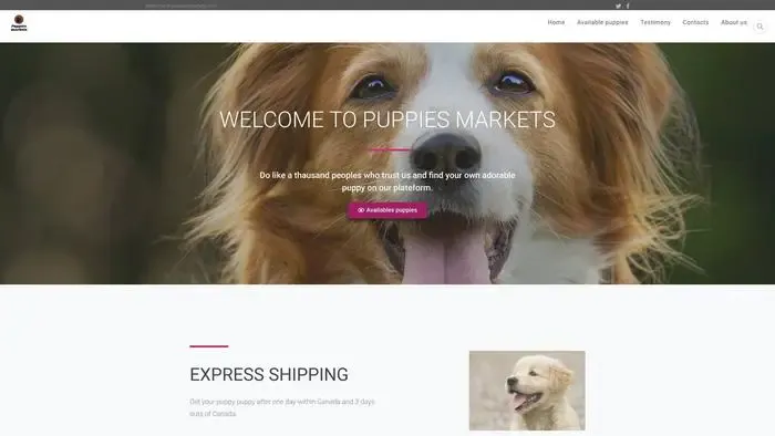 Screenshot of