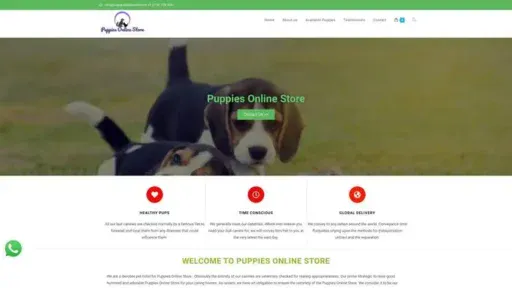 Screenshot of