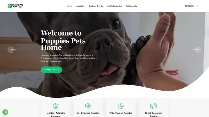 Screenshot of