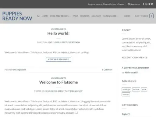 Screenshot of