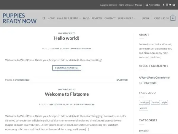 Screenshot of