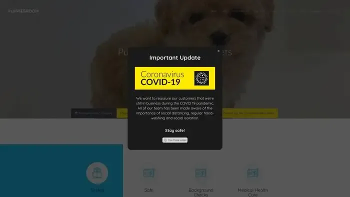 Screenshot of