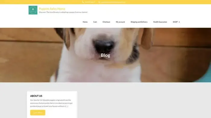 Screenshot of
