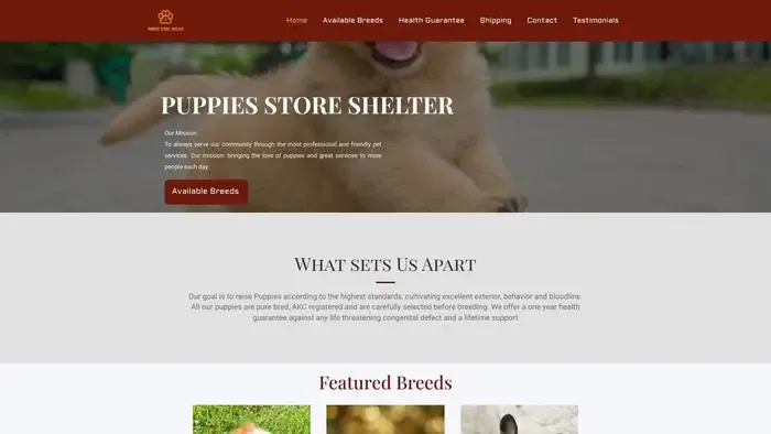 Screenshot of