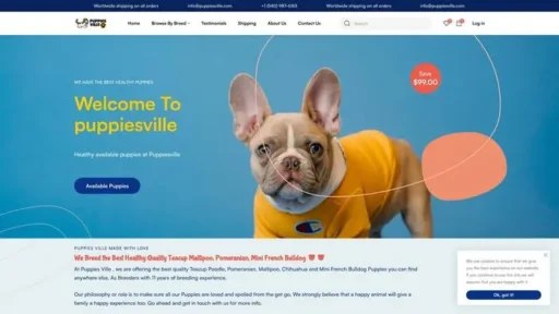 Screenshot of