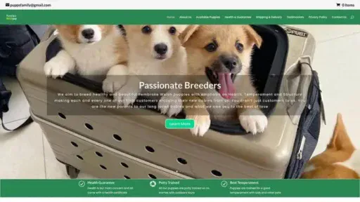 Screenshot of