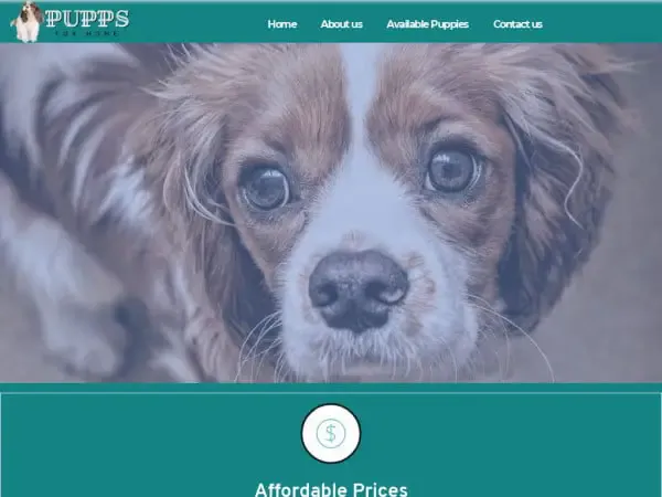 Screenshot of
