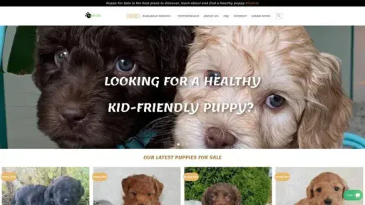 Screenshot of