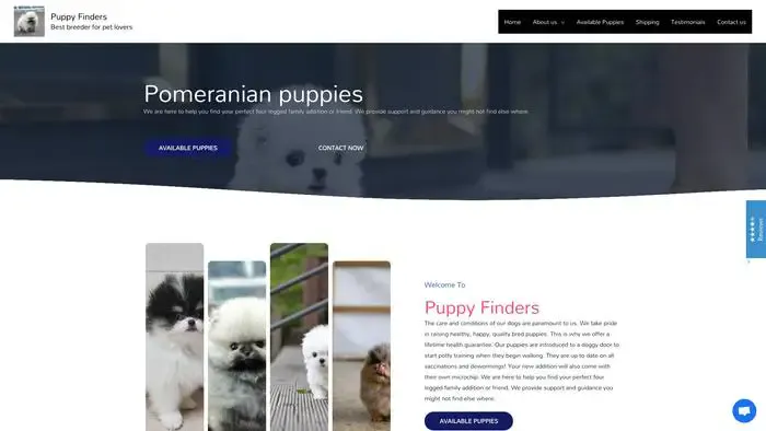 Screenshot of