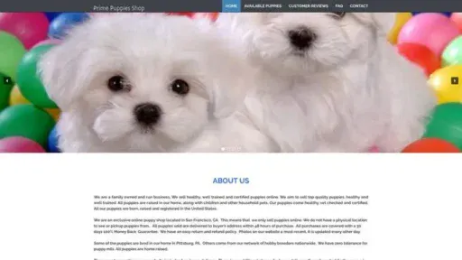 Screenshot of
