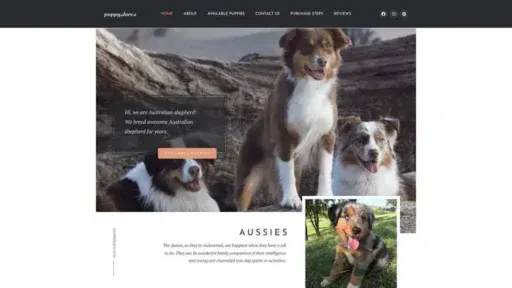 Screenshot of