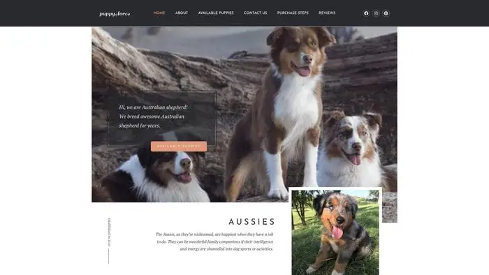 Screenshot of