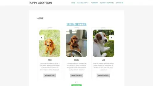Screenshot of
