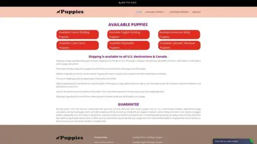 Screenshot of