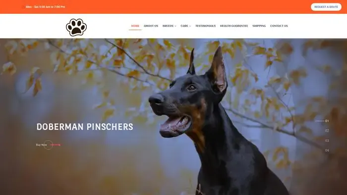 Screenshot of