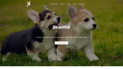Screenshot of