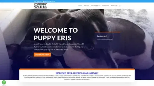 Screenshot of