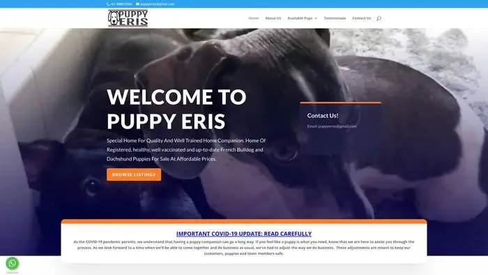 Screenshot of