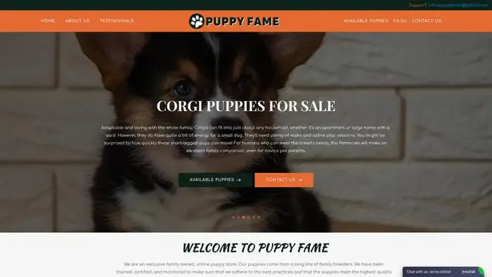 Screenshot of