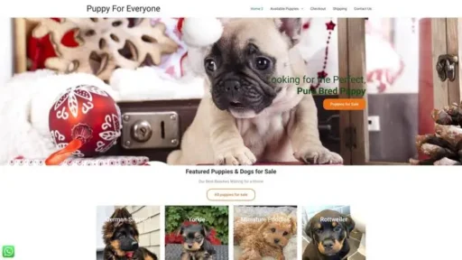 Screenshot of