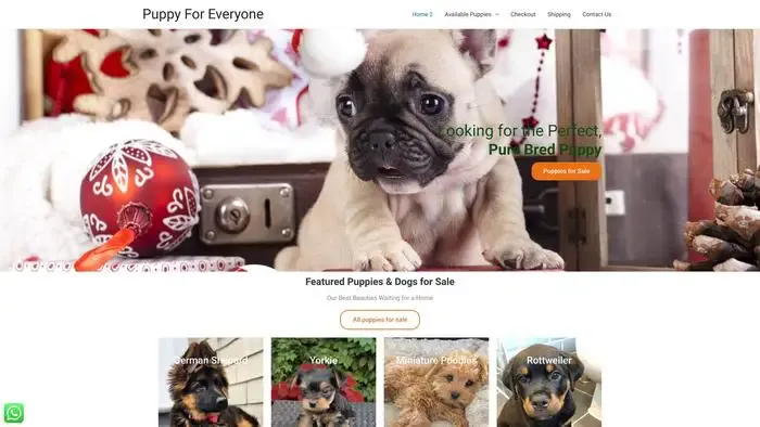 Screenshot of