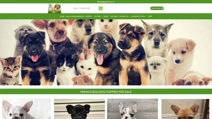 Screenshot of