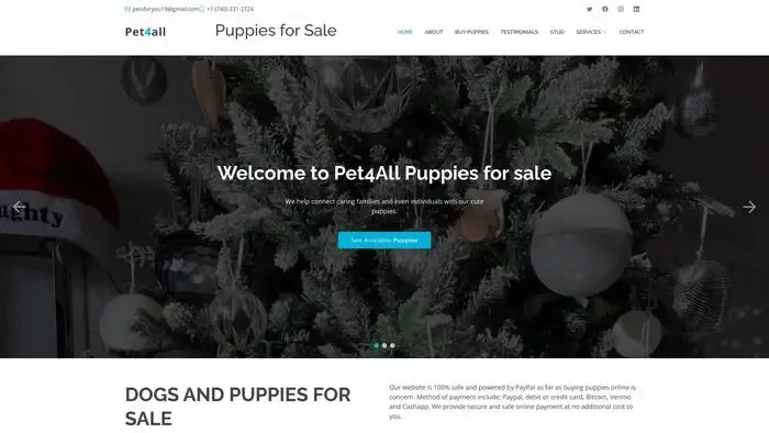 Screenshot of