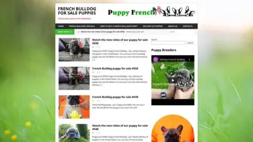 Screenshot of