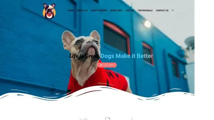 Screenshot of