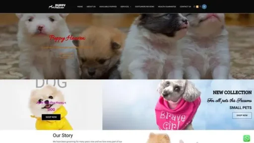 Screenshot of