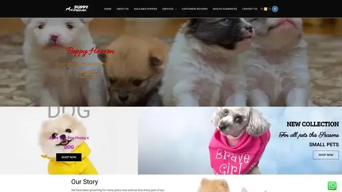 Screenshot of