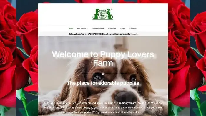 Screenshot of