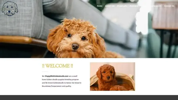Screenshot of