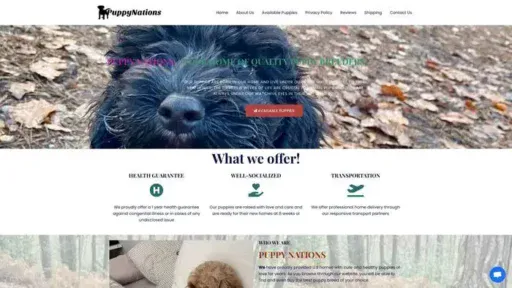 Screenshot of