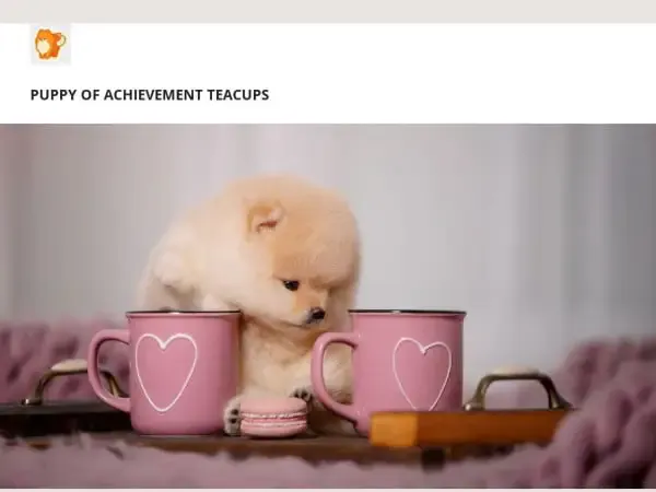 Screenshot of