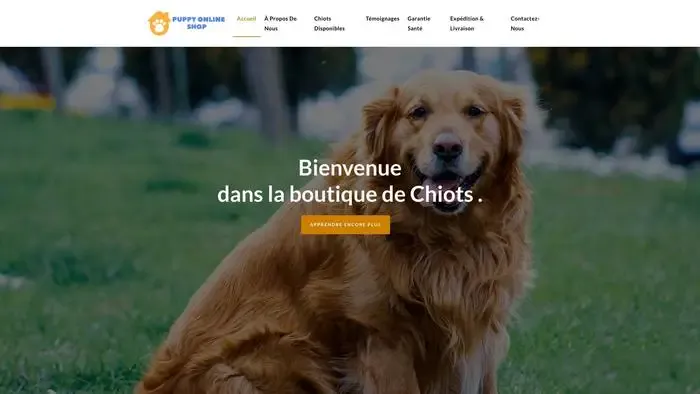 Screenshot of