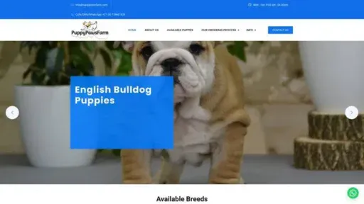 Screenshot of