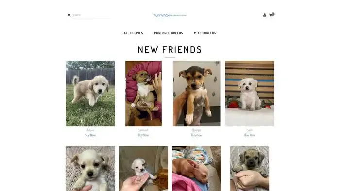 Screenshot of