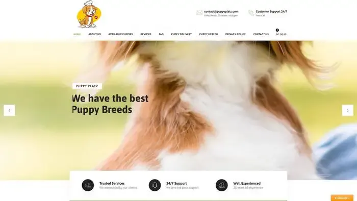 Screenshot of